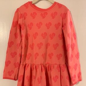 H&M squirrel sweater dress, size 6-8yrs
